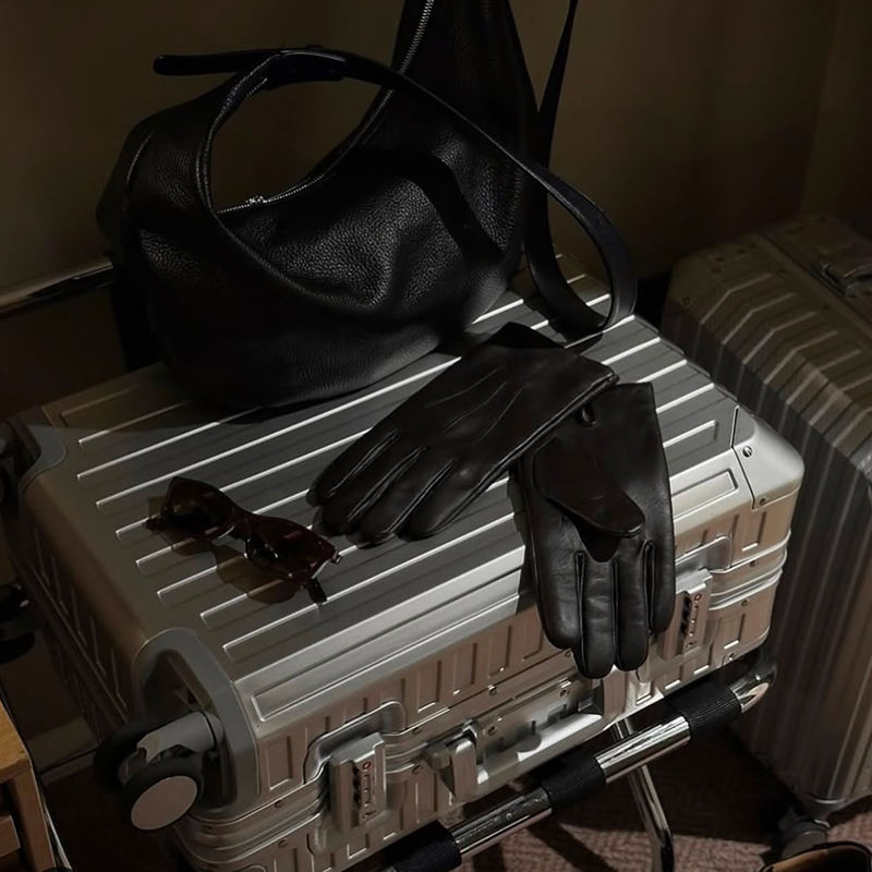 Ins Germany Hot Selling 100% Aluminum-magnesium Alloy Aluminum Frame Suitcase Luggage 20242629metal Trolley Luggage